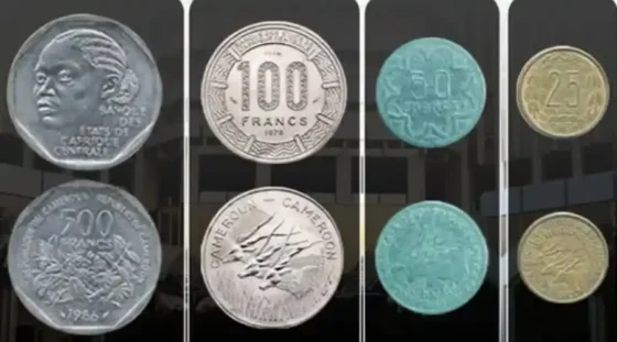 Afrique Centrale : Fin de parcours pour les anciennes pièces de monnaie